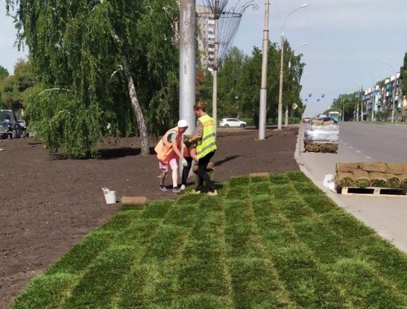 5 тысяч кв. м газона укладывают на площади Авиаторов