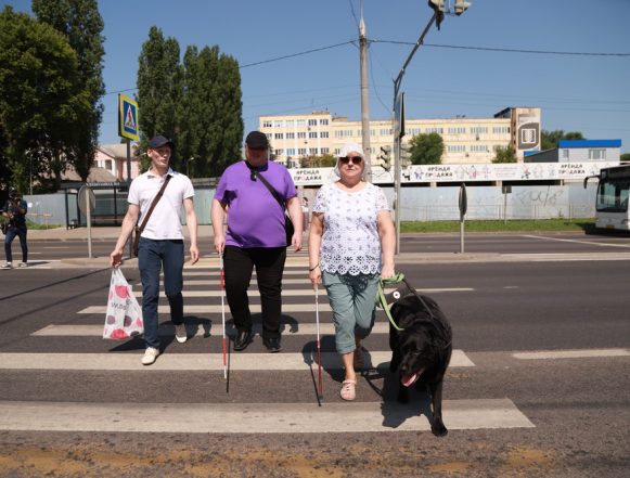 Без собаки никуда