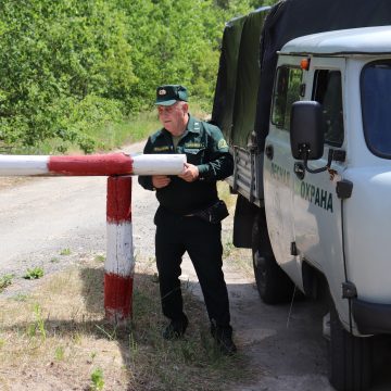 Из-за жары в регионе ограничивают въезд в леса