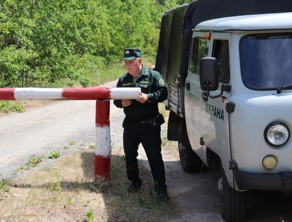 Из-за жары в регионе ограничивают въезд в леса