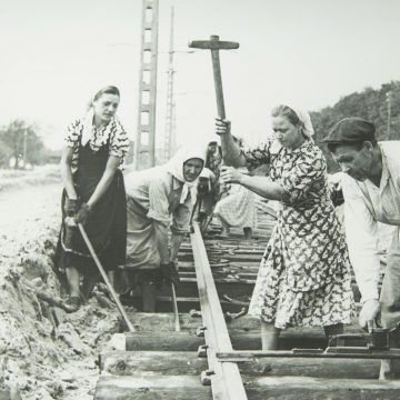 Липчане смогут поделиться семейными воспоминаниями