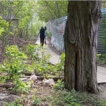 К осени в Военном городке обустроят пешеходную дорожку