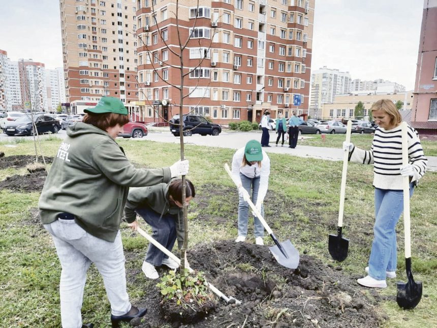 Посади дерево