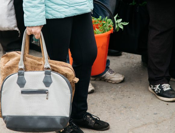 Садоводческие маршруты завершают работу