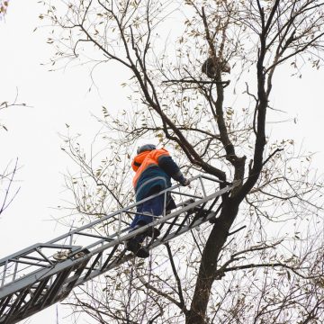 Городские и областные спасатели «охотились» на Зайчика на высоте