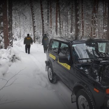 Операция «Ёлочка»