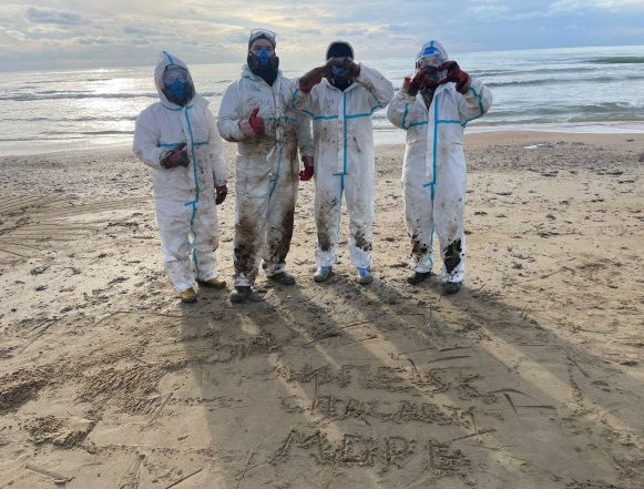 волонтёры черное море волонтёры черное море