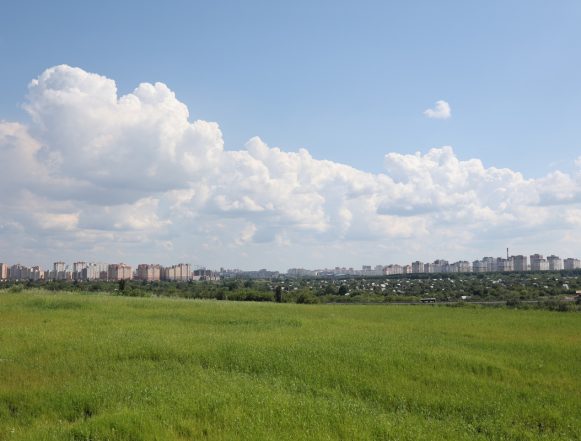 вид на город 2025 лето В гармонии с природой