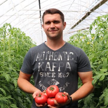 Томаты от фермера Лобеева
