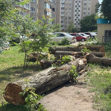 Пешеходные зоны