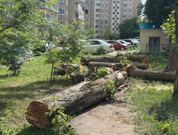 пешеходная зона пинаева Пешеходные зоны