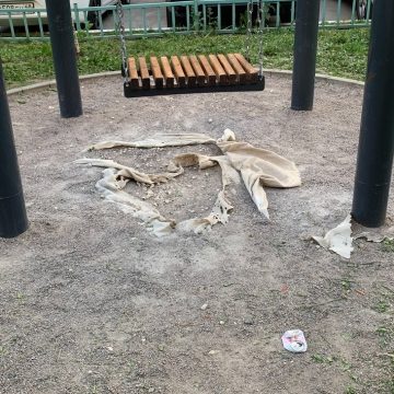Повреждённое покрытие