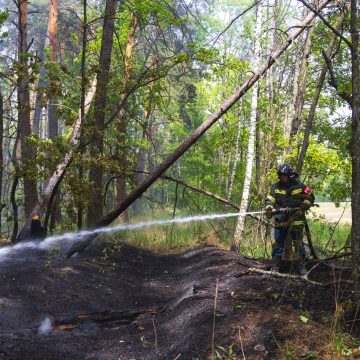 Пожароопасный сезон объявлен в регионе