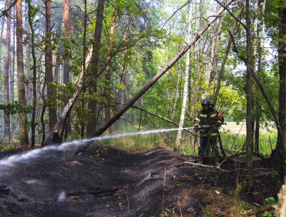 Пожароопасный сезон объявлен в регионе