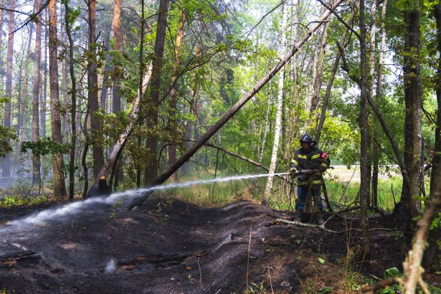 пожар Пожароопасный сезон объявлен в регионе