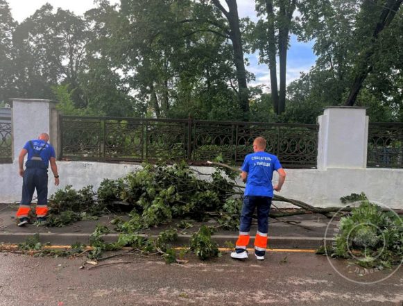 Восемь деревьев упало в Липецке накануне