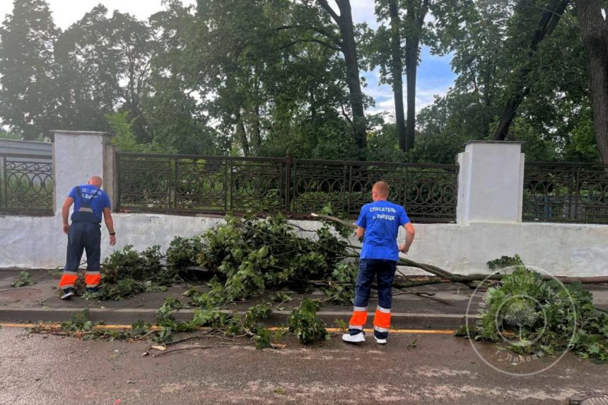 Восемь деревьев упало в Липецке накануне