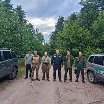 Нарушителей выявляли лесники в заказнике в районе Силикатных озёр