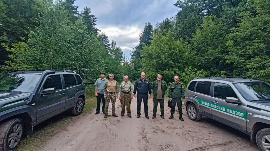 Нарушителей выявляли лесники в заказнике в районе Силикатных озёр