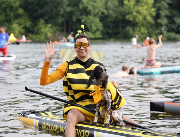 Не столь забавы ради