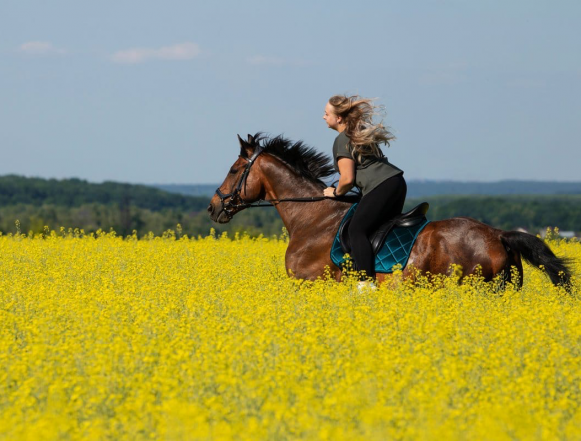 Не бойся, ведь я не отдам тебя никому