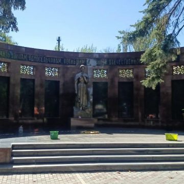 днр Чтобы помнили