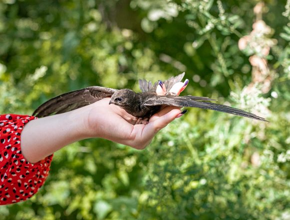 Соседи по городу