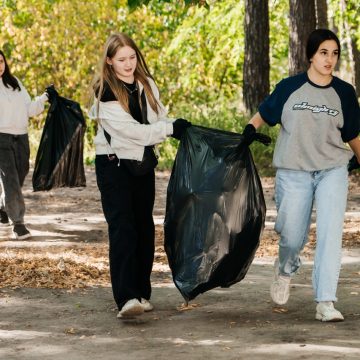 метлы на 5 На мётлах