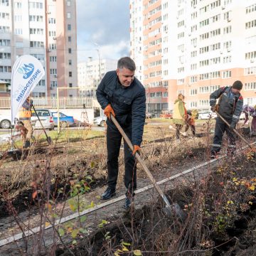 горсовет Озеленение дворовой территории