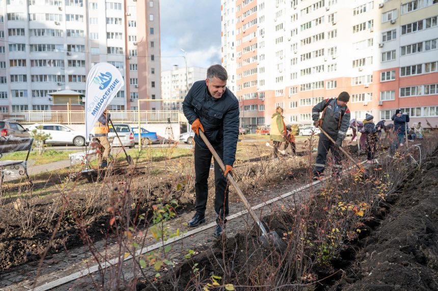 горсовет Озеленение дворовой территории