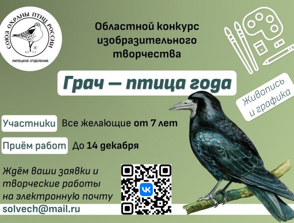 Грач — птица года