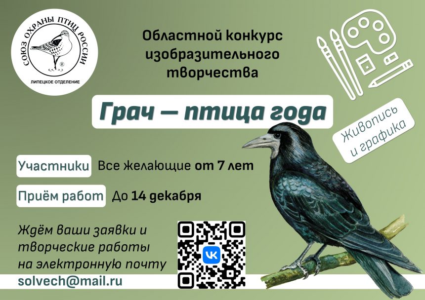 Грач Грач — птица года