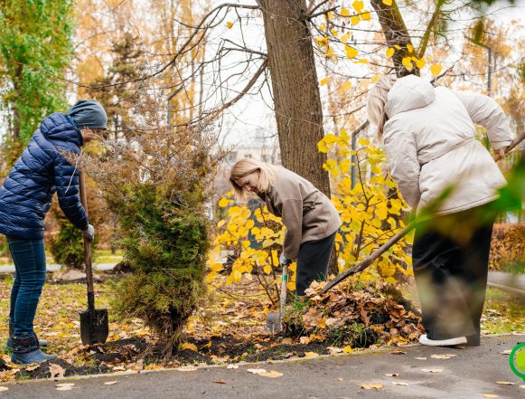 Аллея экологов