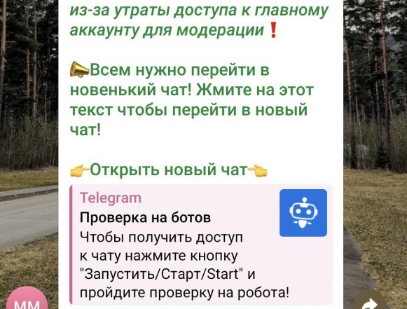 Липчан предупреждают: «новые чаты» могут быть уловкой мошенников