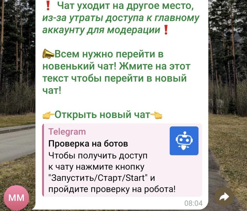 Липчан предупреждают: «новые чаты» могут быть уловкой мошенников