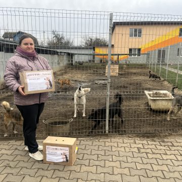 Дай лапу, друг