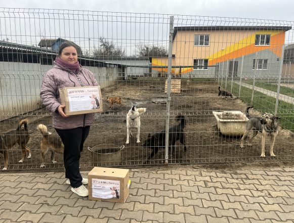 дай лапу, друг акция Дай лапу, друг