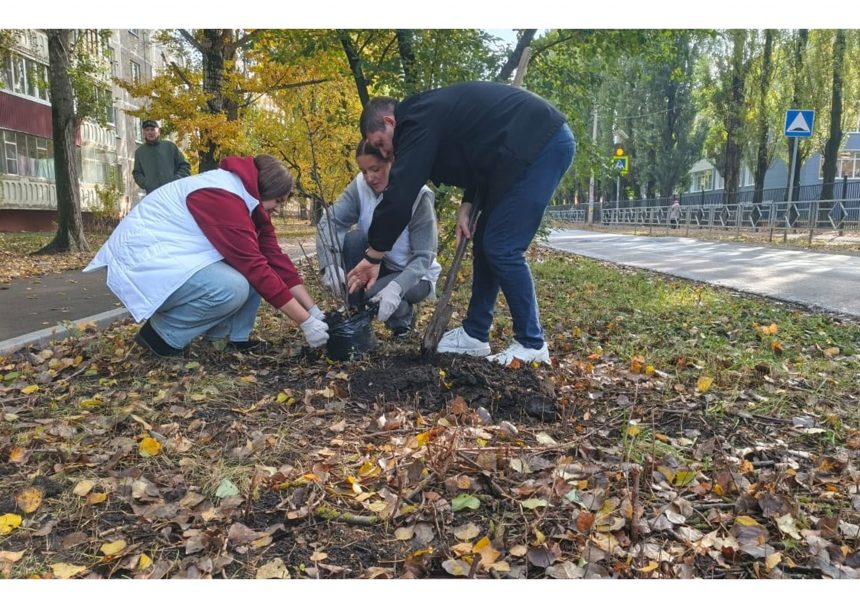 кирилл иванов фото Сиреневый бульвар