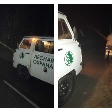 Дорогу к санаторию «Парус» под Липецком расчистили от веток деревьев 