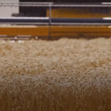 аграрии пресс Липецкая область отметила региональный День работника сельского хозяйства