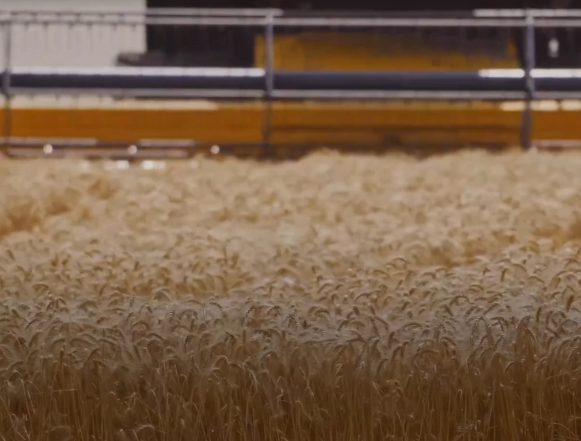 Липецкая область отметила региональный День работника сельского хозяйства