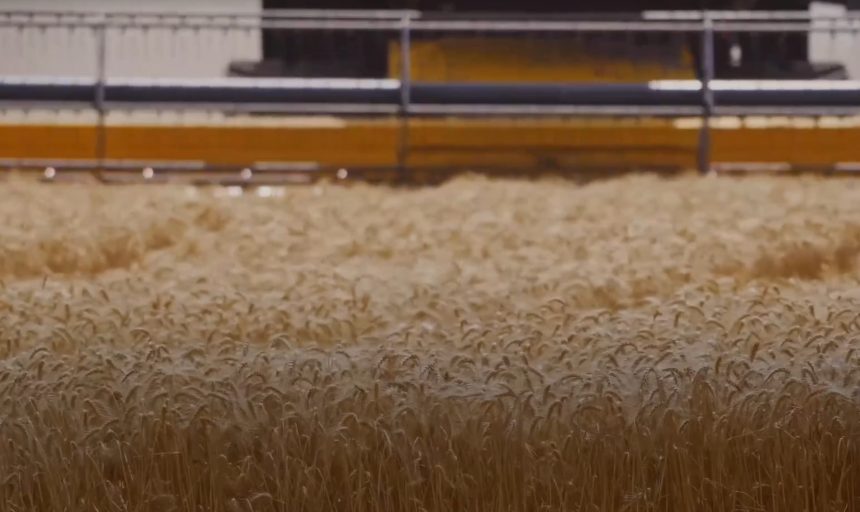 аграрии пресс Липецкая область отметила региональный День работника сельского хозяйства