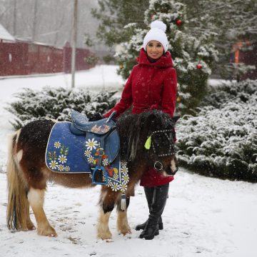 В Новый год на коне