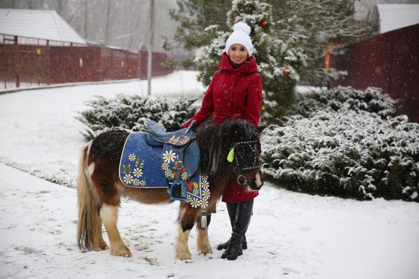 В Новый год на коне