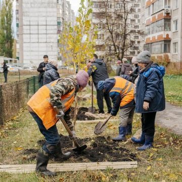Зелёный рекорд