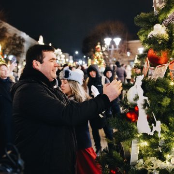 Топ-20 ёлок ждёт в Ельце