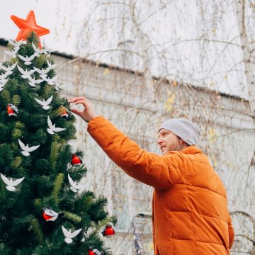 ёлки липецкой земли фестиваль мамцев В новогодней столице Липецкой области начали устанавливать аллею из 20 ёлок