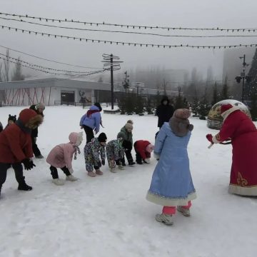 Рождественские забавы