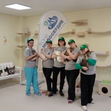 Забота о животных