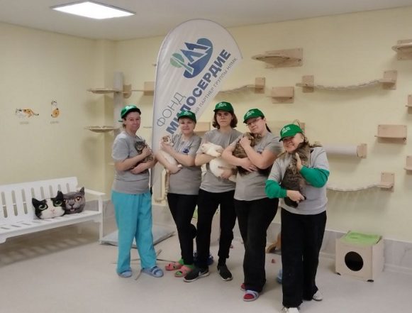 Забота о животных